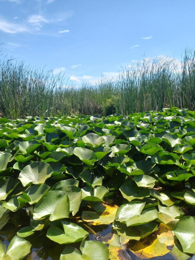 Casa Cu Trandafiri มูรีกีโอล ภายนอก รูปภาพ