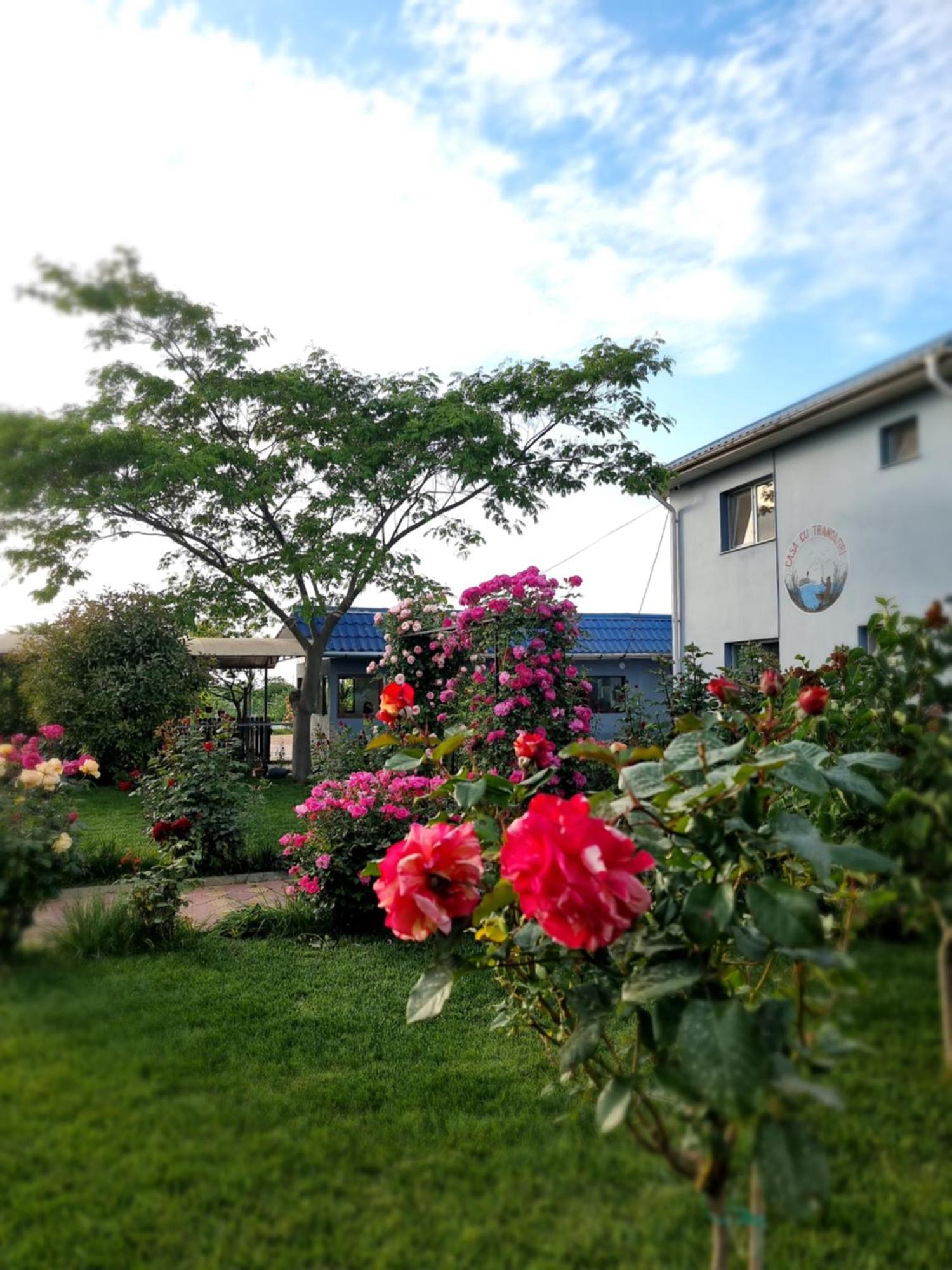 Casa Cu Trandafiri มูรีกีโอล ภายนอก รูปภาพ