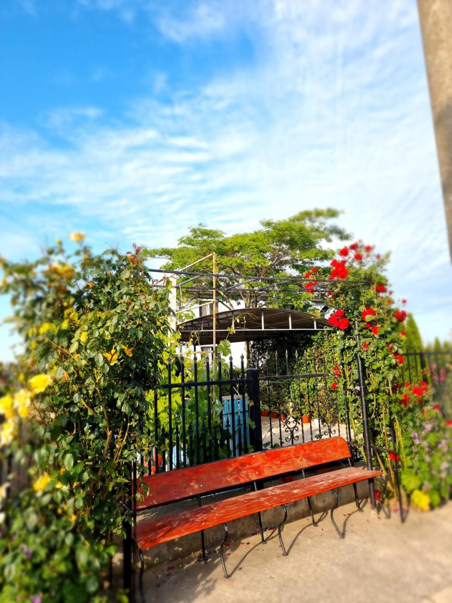 Casa Cu Trandafiri มูรีกีโอล ภายนอก รูปภาพ